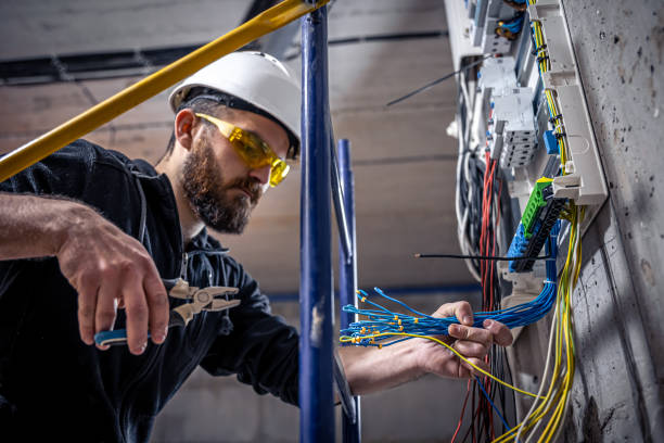 Best Electrical System Inspection  in Port Byron, IL
