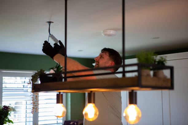 Best Industrial Electrical Services  in Port Byron, IL