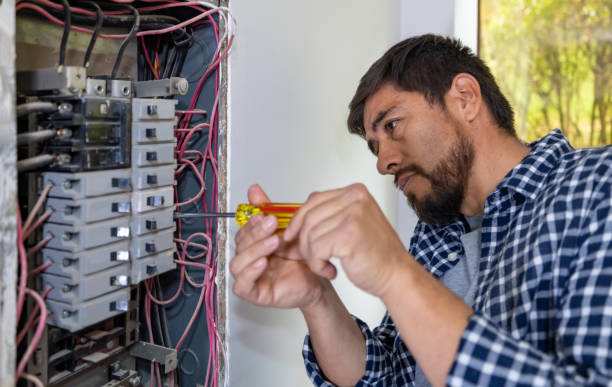 Best Affordable Electrician  in Port Byron, IL